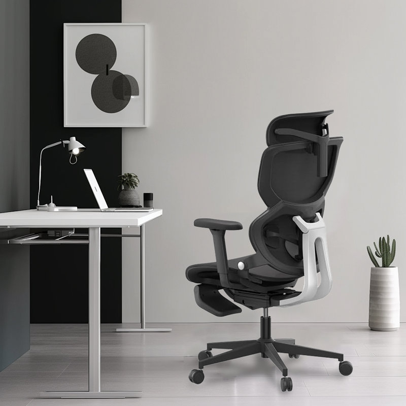 Q3 Ergonomic Office Chair — Adaptive 3-Point Lumbar Support with 136° Recline for Gaming and Home