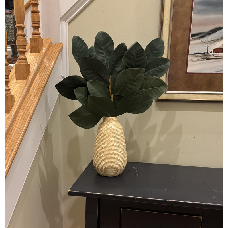 Magnolia 21 po