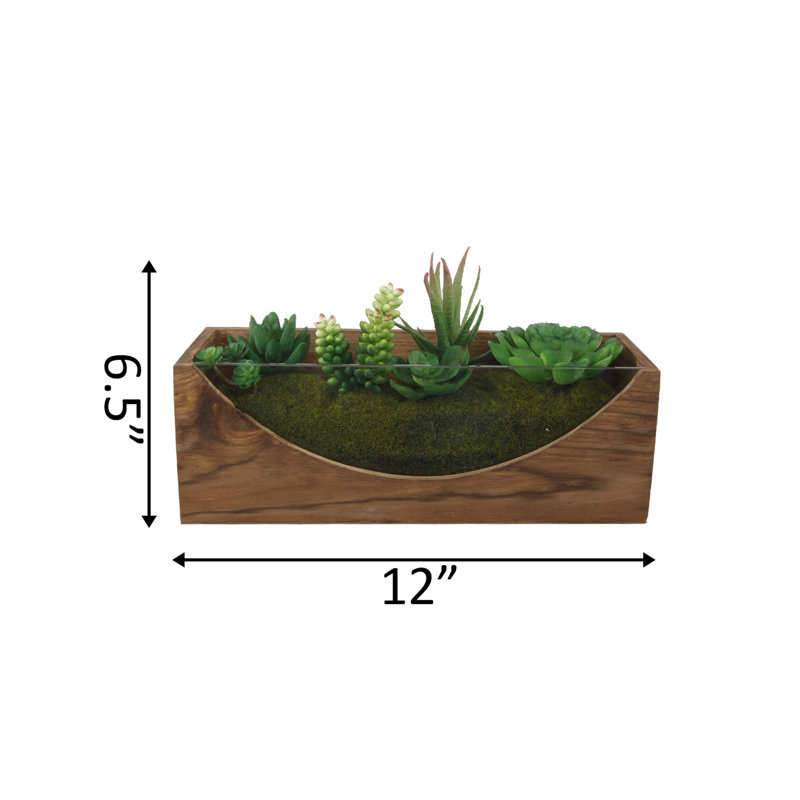 6.5'' Faux Succulent Plant in Wood Planter