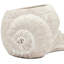 8.3X7X4.7" Decorative Sand And Cement Snail Planter With Textured Beige Finish