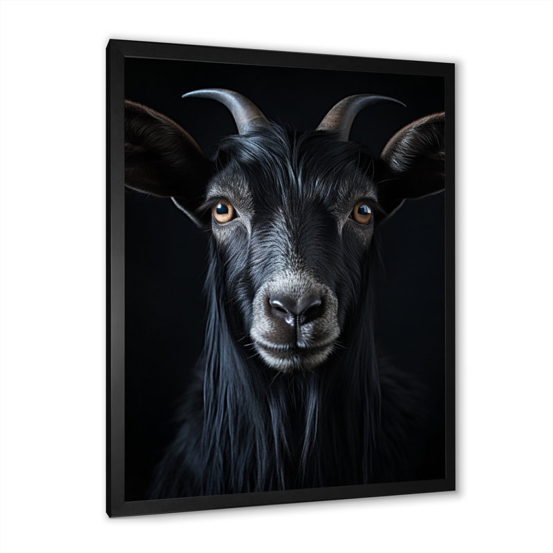 Portrait de chèvre Lakenzie en noir et blanc sur toile, Cadre photo noir, H 32 po x l 16 po x P 1 po