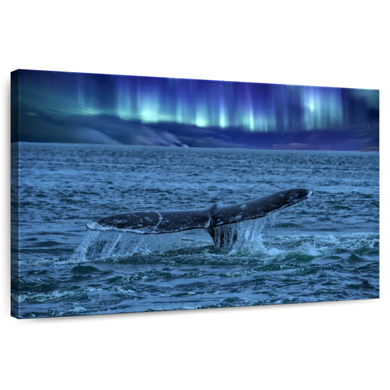 Brampt Aurora Borealis Whale Tail, 26" H x 39" W