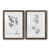 Papier, cadre noyer