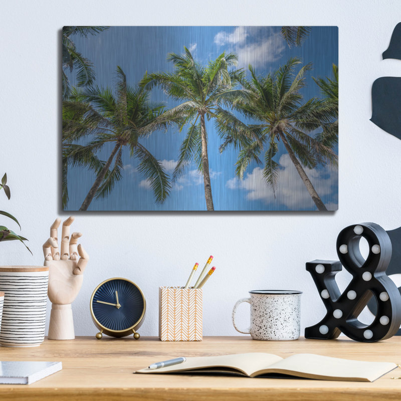 «Palawan Palm Trees I» par Richard Silver, art mural en métal, H 12 po x l 16 po