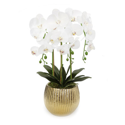 Centre de table orchidée dans un vase