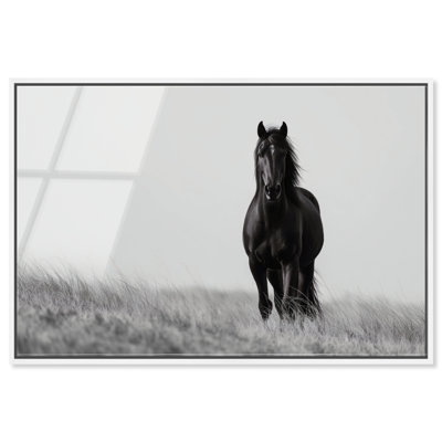 Lone Stallion I Print