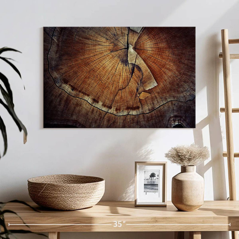 Tree Ring Texture, 16" H x 24" W