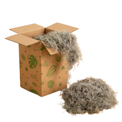 Natural Spanish Moss - 5Lbs