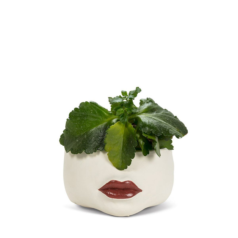 Pot Planter, 7" H x 6.5" W x 6.5" D