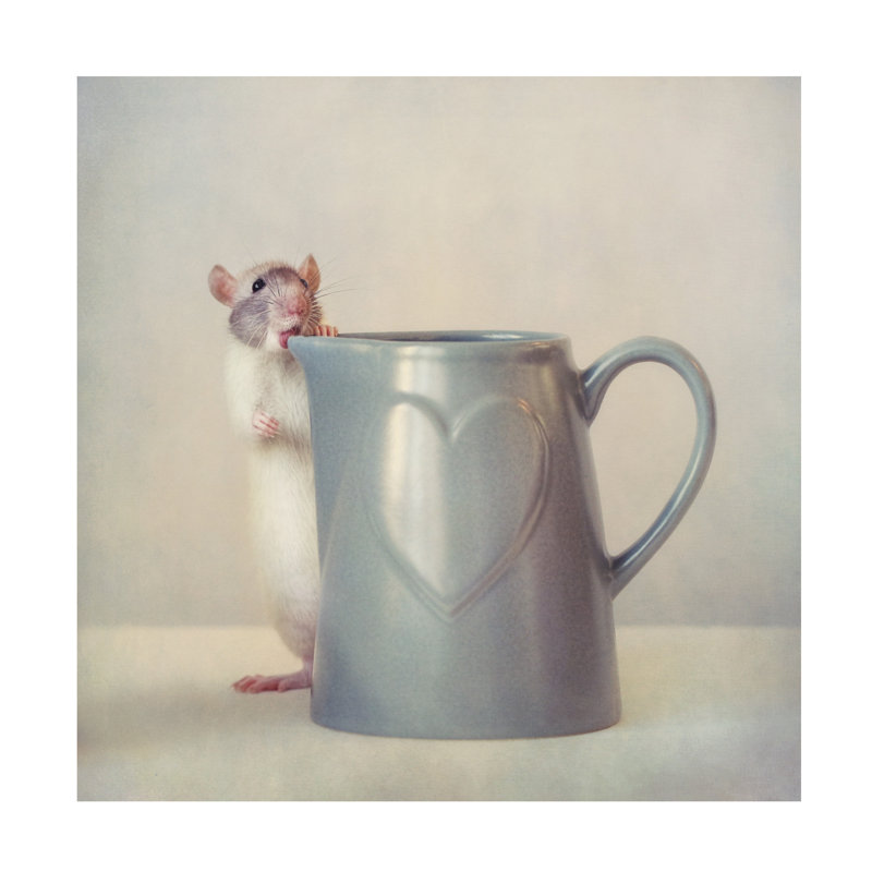 Art sur toile Ellen Van Deelen, H 14 po x l 14 po