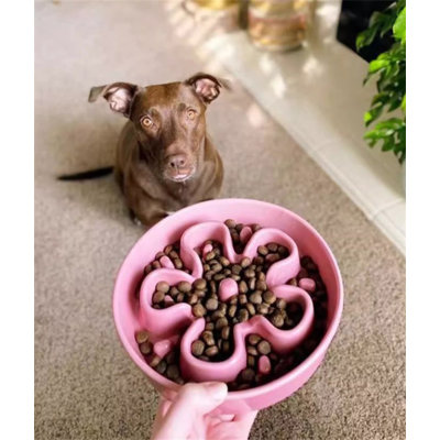 Pet Bowl
