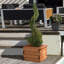 Scandinavian Redwood Handmade Wood Planter Box-1642342460