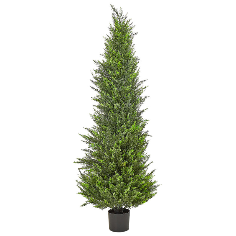 Faux Cedar Tree in Plastic / Acrylic Planter, 153cm H x 50cm W x 50cm D