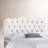 Michaela Upholstered Headboard-22703021-22703022