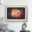 Orange Rose Flower - Picture Frame Painting-62808685-62808686
