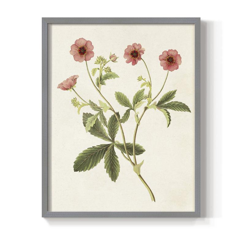 «Flowers of the Seasons», reproduction encadrée en bois massif, Gris, H 10 po x l 8 po