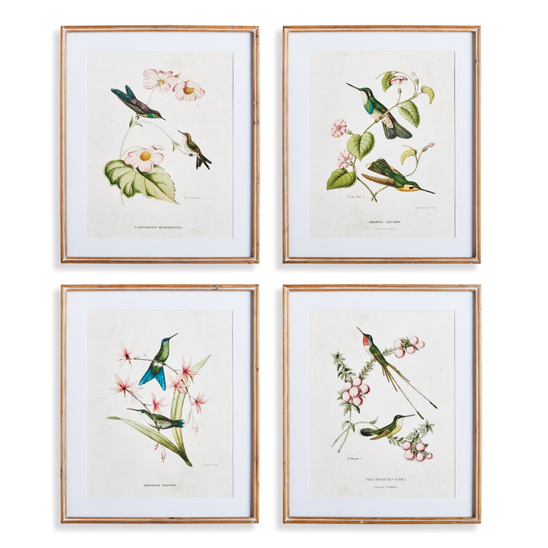 Colibris avec des fleurs de rosé