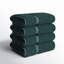 Coton luxueux et hautement absorbant Renata-16214565