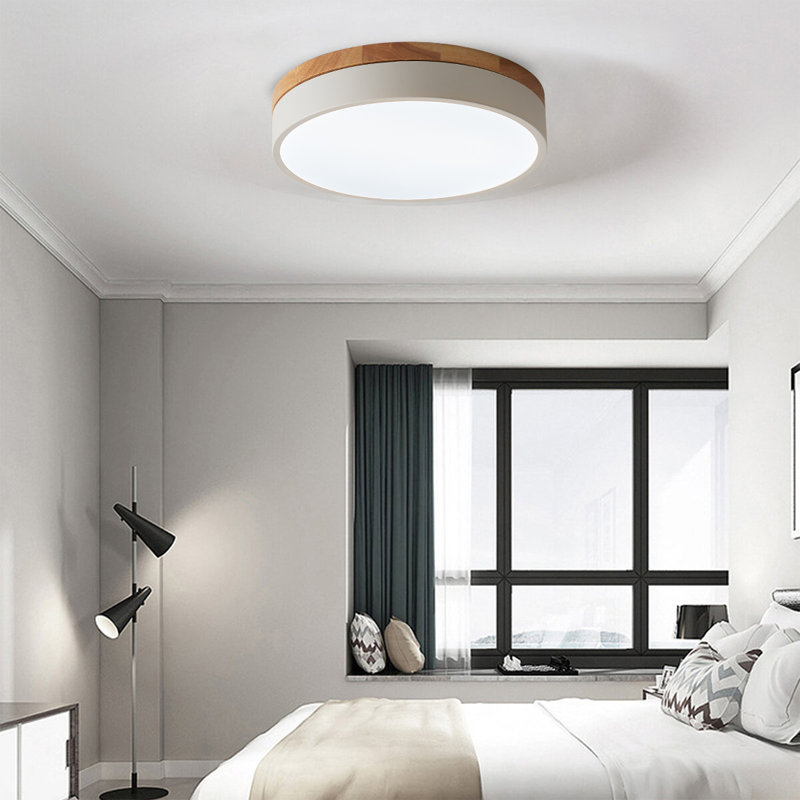 Circle Modern Led Flush Mount Ceiling Light, 6500 Kelvins, Silver