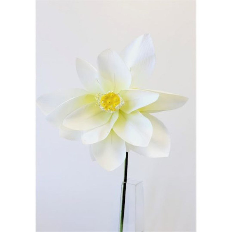 Tige de lotus