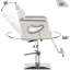 Fauteuil de coiffeur inclinable à pompe hydraulique, fauteuil de salon en similicuir-1501561433