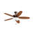 52'' Ceiling Fan with LED Lights-1487329157