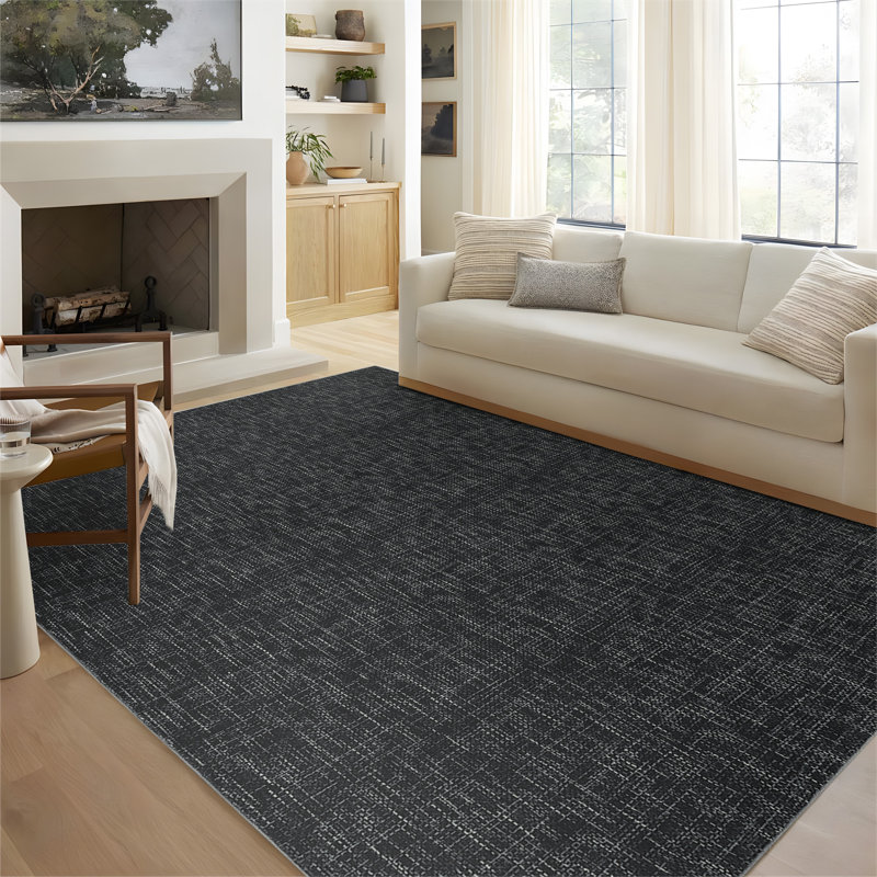 Tapis modernes modernes abstraits pour le salon Tapis à poils courts et doux Tapis lavable pour l'intérieur