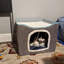 Lit pour chat Chabak