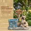 Statue d'extérieur d'extérieur famille de bouledogue français