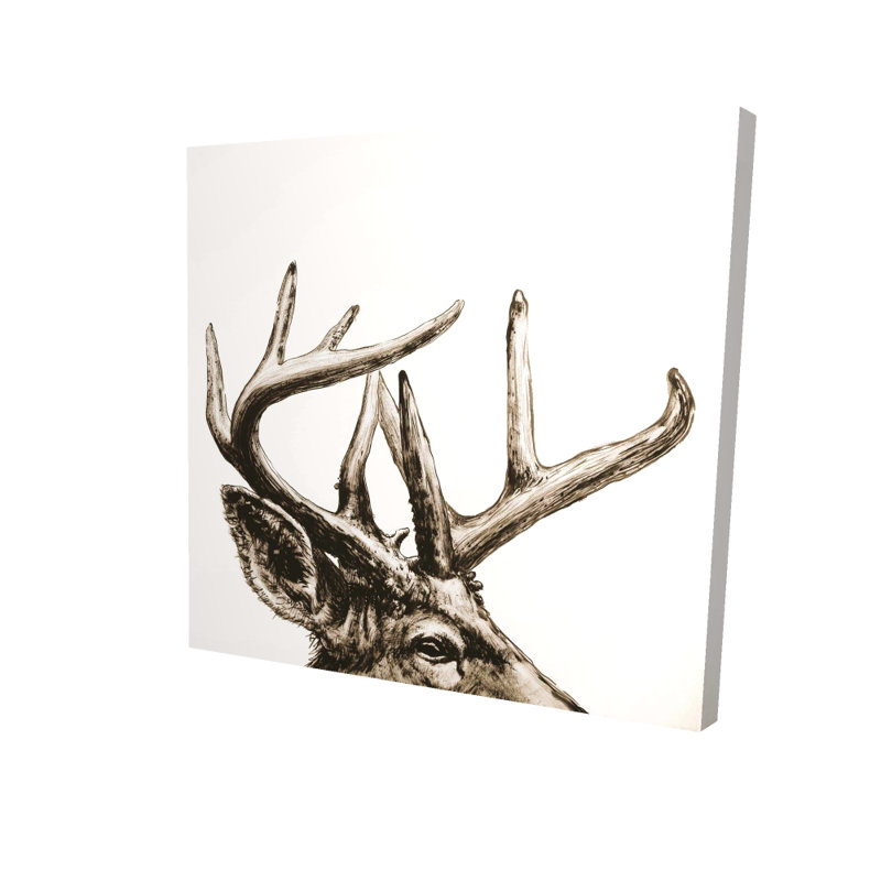 Toile sépia Roe Deer Plume | Décoration murale de salon, H 24 po x l 24 po
