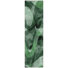 Fern