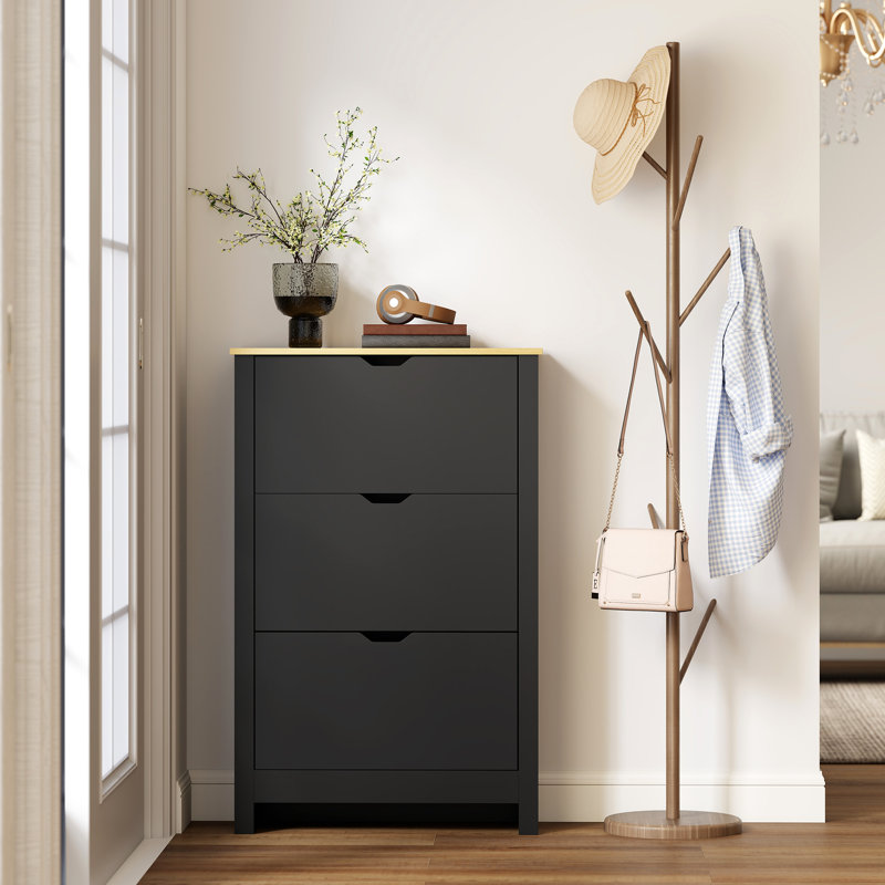 Armoire à chaussures étroite avec 3 tablettes réglables, noir