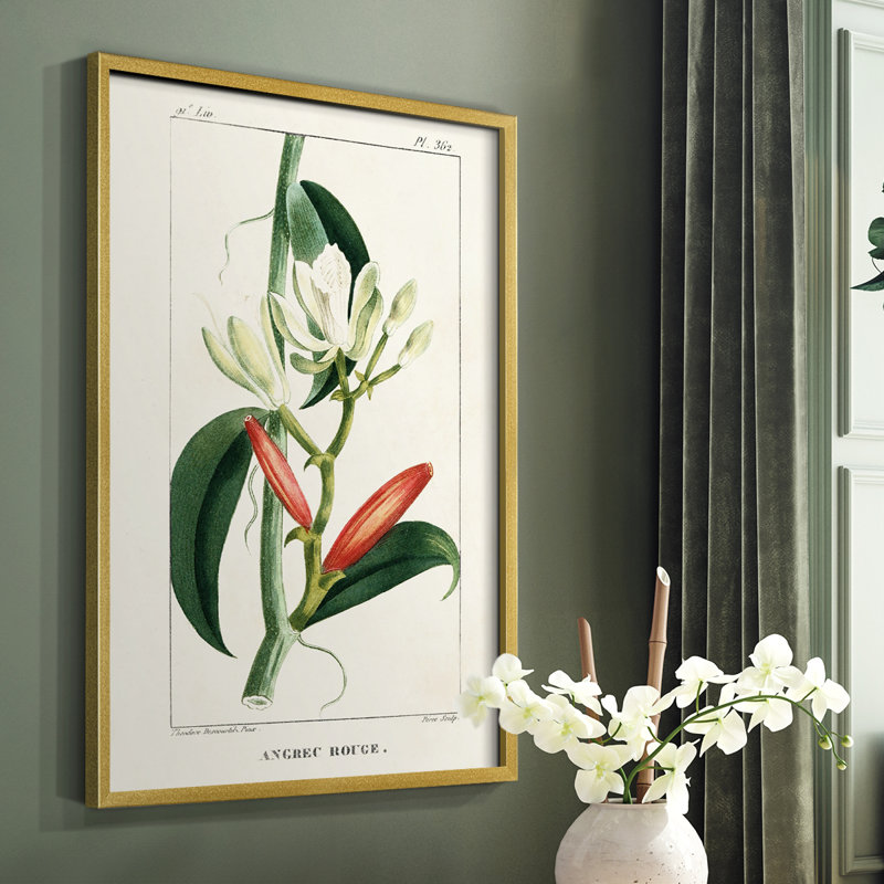 Turpin Tropical Botanicals IX Framed Print - Solid Wood, 14" H x 11" W