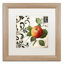Jadaya «Les Fruits Jardin IV», impression encadrée-20128724-20128725-70728435