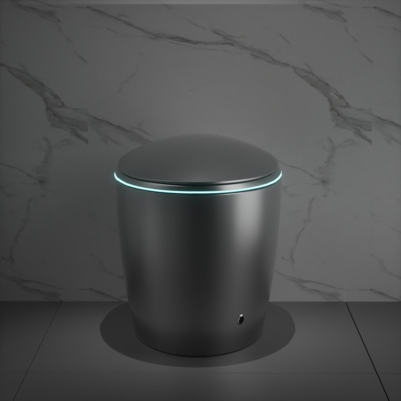 Yingze Smart Toilet with Built-In Bidet, Auto Flush, Heated Seat, Warm Dryer, Matte Gray