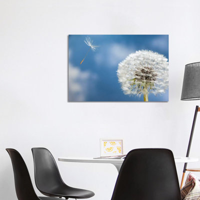 Dandelion Seed Being Dispersed by Wind, Oregon 1 Piece Wrapped Canvas Wall Art
