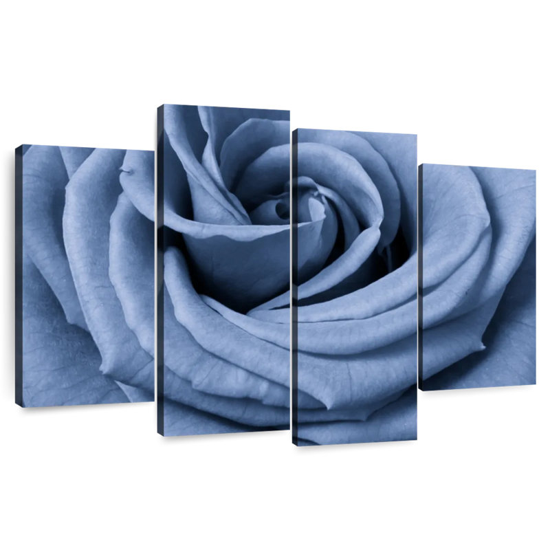 Rose bleue Harnek en gros plan, H 54 po x l 84 po