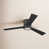 Oil Rubbed Bronze with Dark Brown Blades