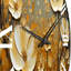Horloge murale Wildflowers-93380368