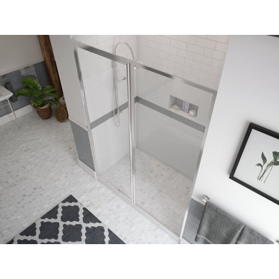 Porte de douche à charnière 48 po x 69 po Legend Series