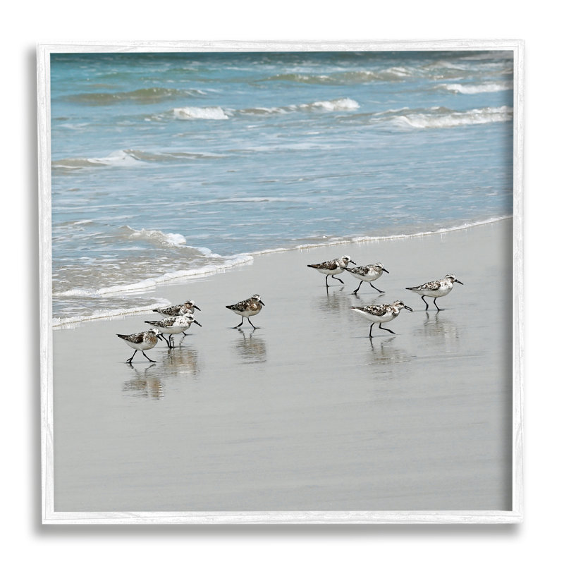 Sandpipers Flock Sandy Beach Shore, art de la giclée blanche encadrée par Natalie Carpentieri, H 17 po x l 17 po x P 1,5 po