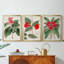 FloraOf TheTropicsI - Toile tendue avec châssis sur mesure - 3 pièces-1818618249-1818618359