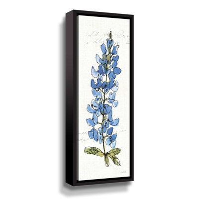 " Texas Bluebonnet III "
