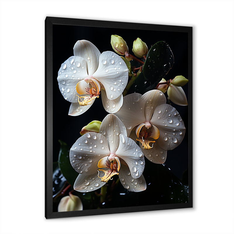 Orchidées blanches pétales d'élégance I, H 32 po x l 24 po x P 1 po, Cadre simple noir