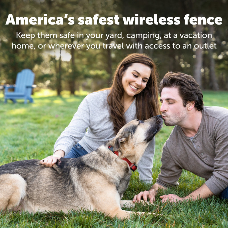 PetSafe Stay & Play Wireless Fence for Stubborn Dogs with Adjustable Collar