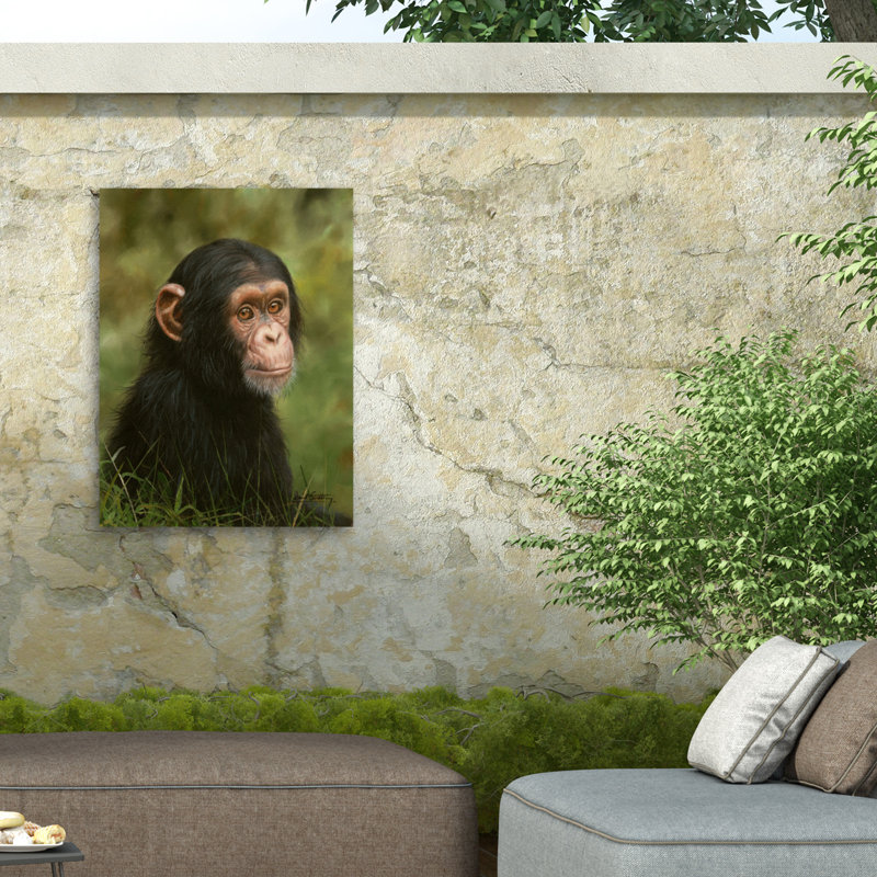 Toile d'extérieur David Stribble Chimp, H 14 po x l 19 po