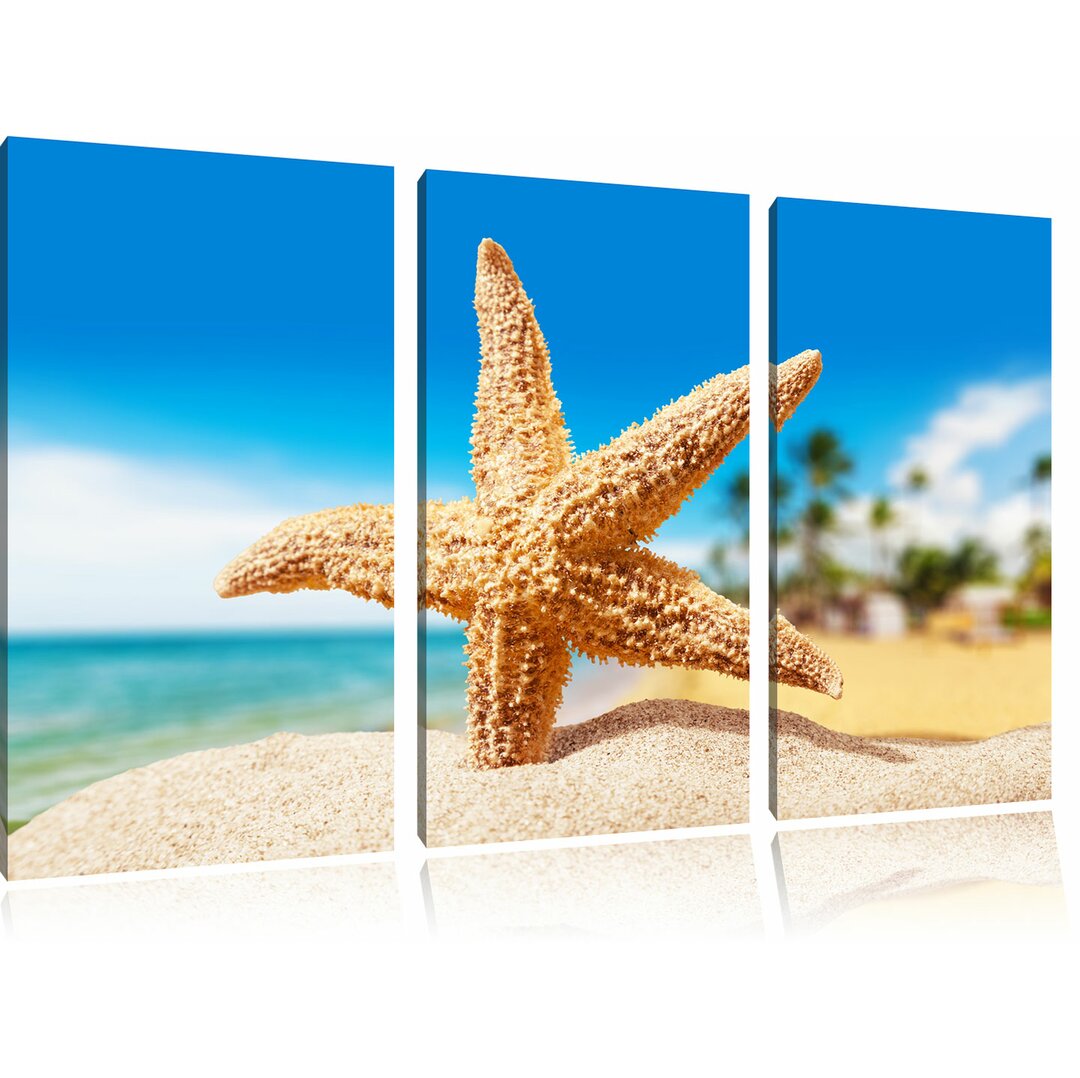 3-tlg. Leinwandbilder-Set Seestern im Sandstrand von Palm Beach, Fotodruck