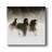 " Winter Roundup II "-54976371