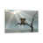 White Floater Framed Canvas