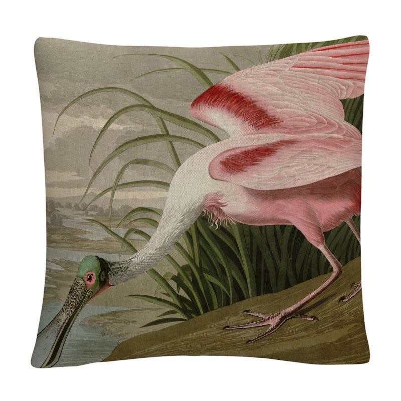 Coussin John James Audubon